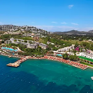 Kadikale Тургутрейс