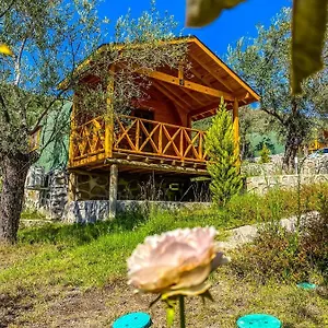 Kazdaglari Saglikli Yasam Koeyue Edremit (Balikesir)